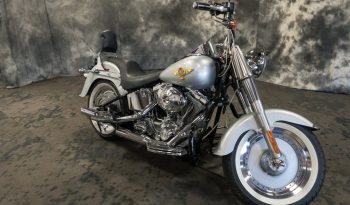 2005 HARLEY DAVIDSON SOFTAIL FATBOY full